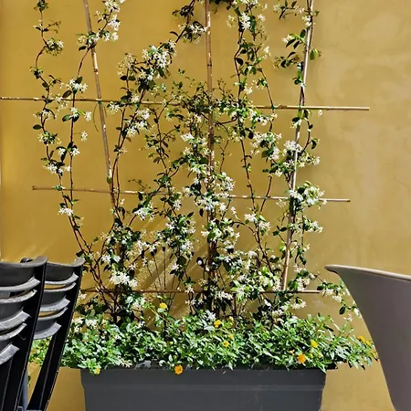 La Casetta Al Mare Casa vacanze