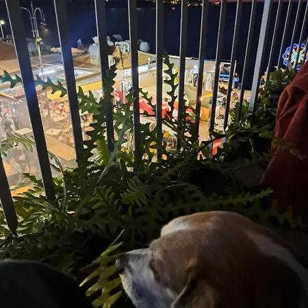 Casa vacanze La Casetta Al Mare Palermo